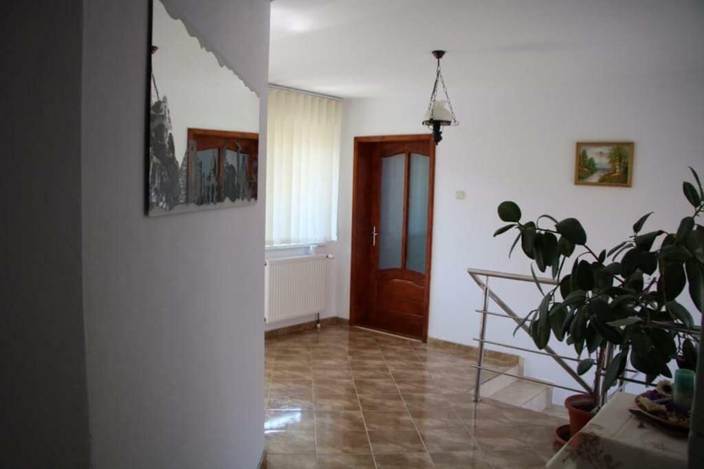 Casa Leny Hotell Tohanu Nou Exteriör bild